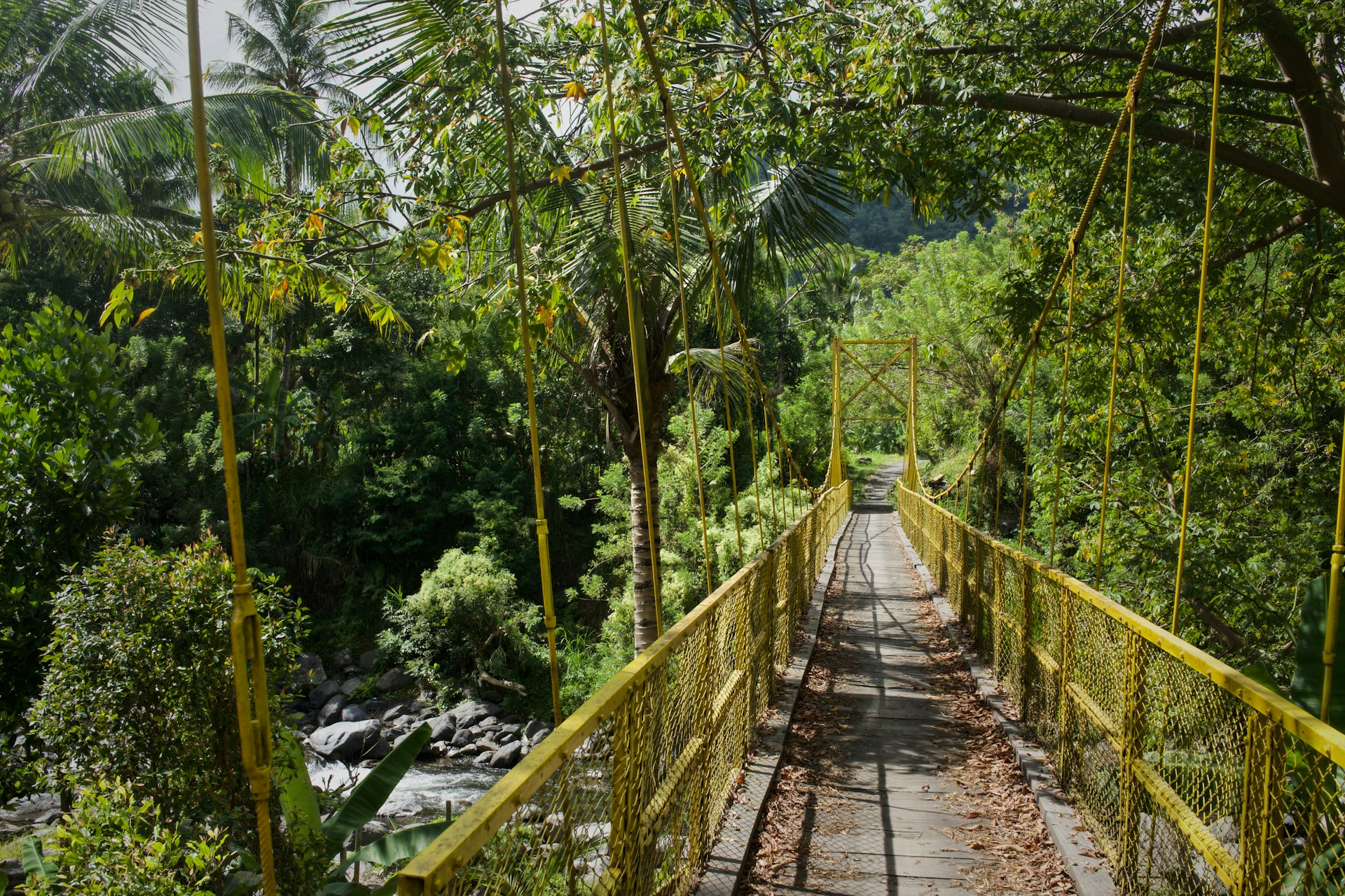 a wooden bridge over a river surrounded by trees